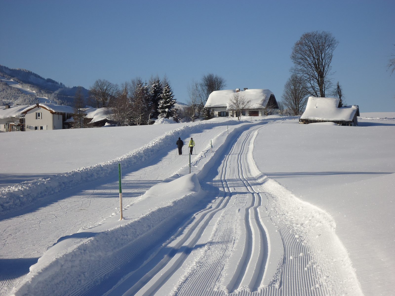Langlaufloipe und Winterwanderweg direkt hinter dem Haus